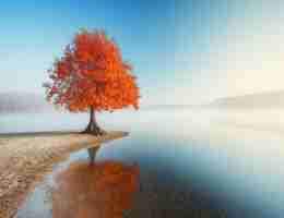 Html5怎‌么​读‍